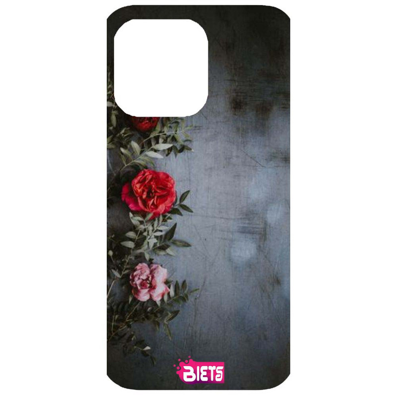 

BIETS Protective Printed Back Case Cover For Iphone 14 Pro