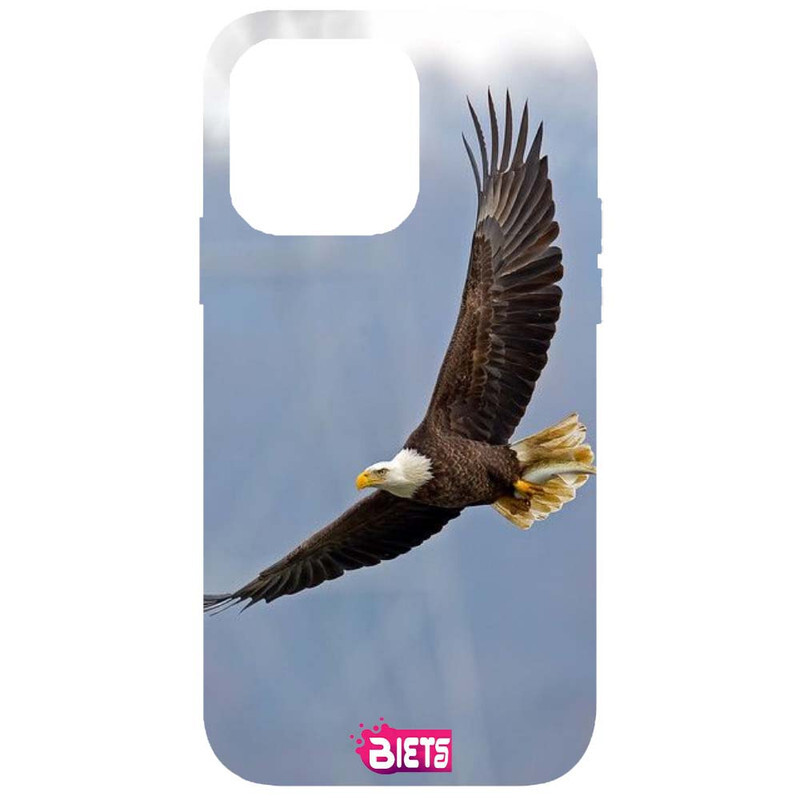 

BIETS Protective Printed Back Case Cover For Iphone 14