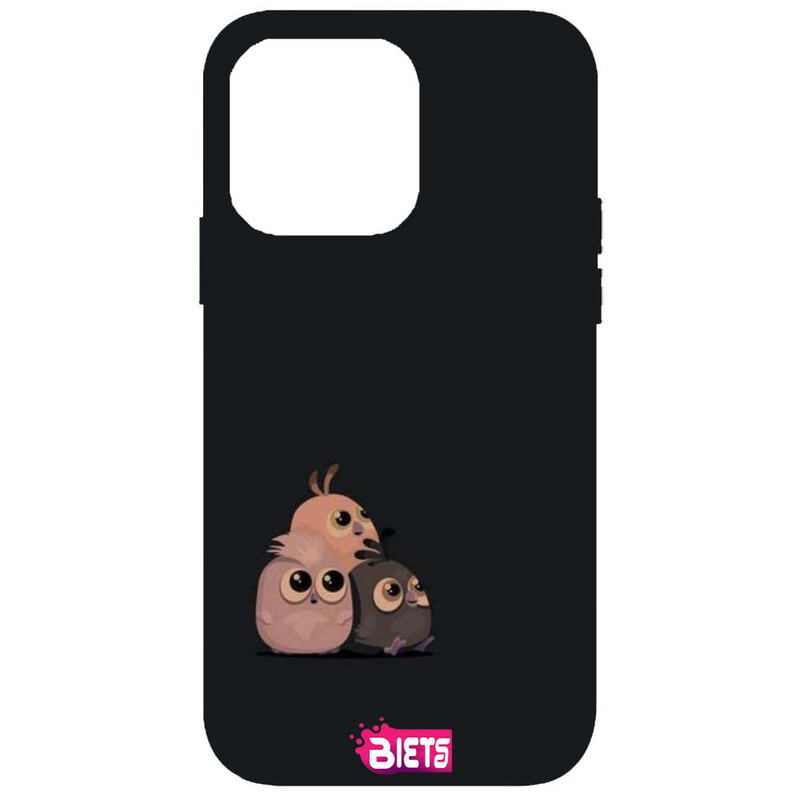 

BIETS Protective Printed Back Case Cover For Iphone 13 Pro Max