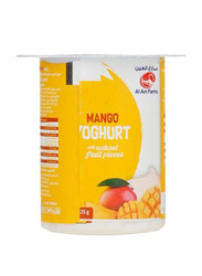 Al Ain Mango Flavored Yoghurt, 125g