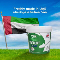 Al Ain Full Cream Fresh Yogurt, 1 Kg