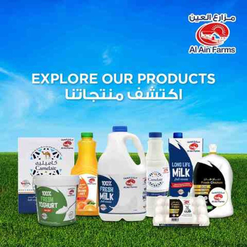 Al Ain Full Cream Fresh Yogurt, 1 Kg