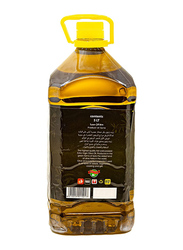 Abu Sheba Premium Quality Virgin Olive Oil, 5 Liter