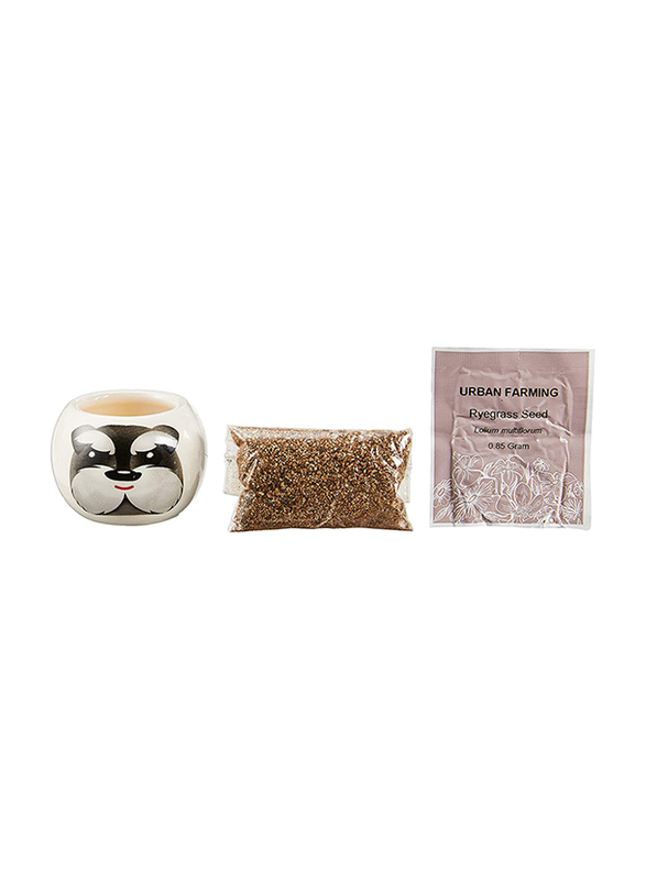 

Paris Garden Adopt A Dog, PG-7605, Assorted