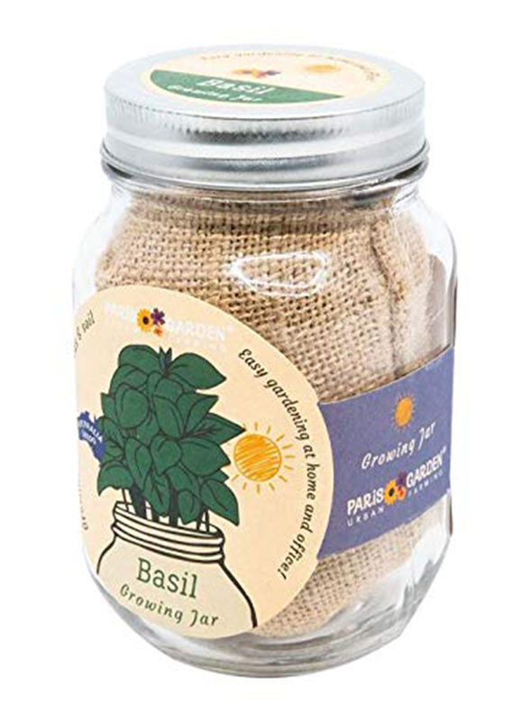 

Paris Garden Mason Jar Basil Growing Kit, Transparent