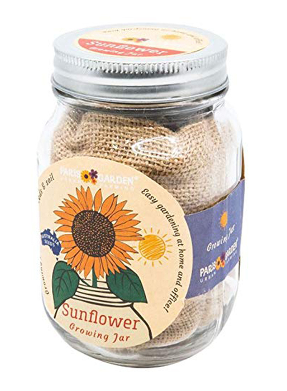 

Paris Garden Mason Jar Sun Flower Growing Kit, Transparent