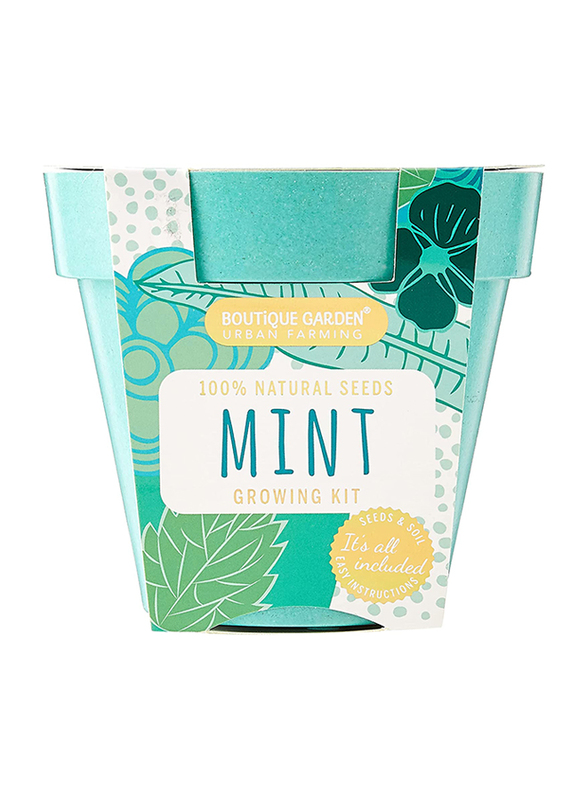 

Paris Garden Natural Mint Seeds Growing Kit for Flowers, Green