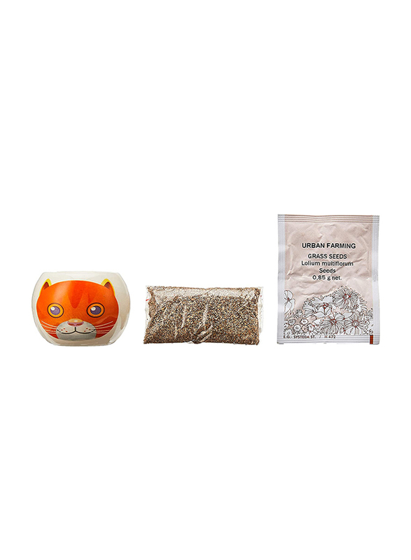 

Paris Garden Adopt A Cat Grow Kit, Assorted