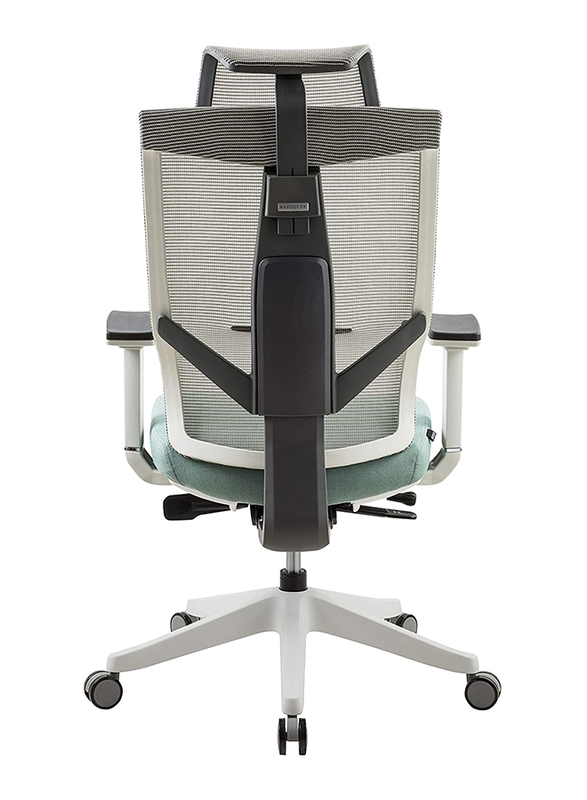 Navodesk Aero Ergonomic Design Multi Adjustable Premium Office & Computer Chair, Mint Green