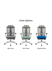 Navodesk Aero Ergonomic Design Multi Adjustable Premium Office & Computer Chair, Sapphire Blue