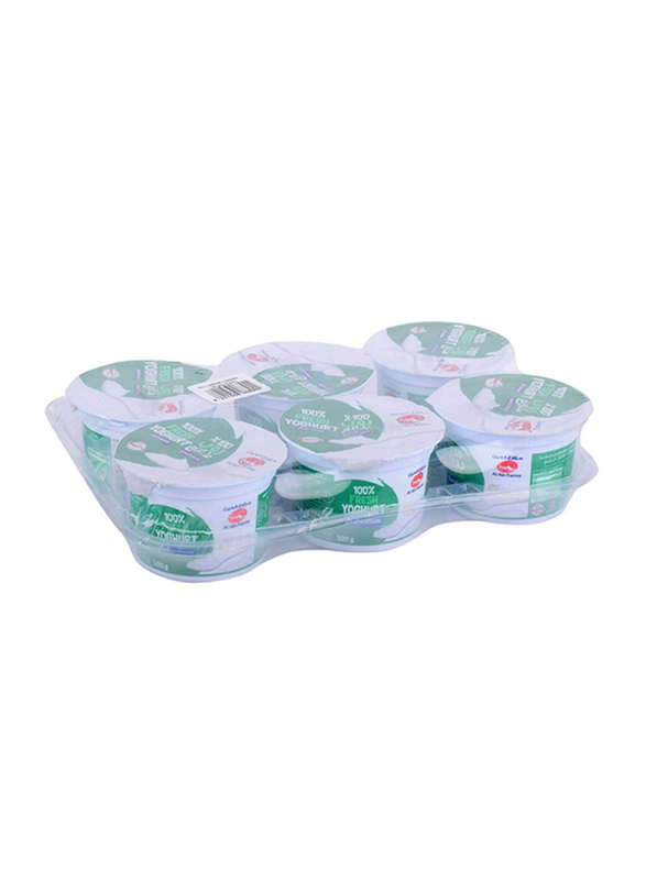 

Al Ain Natural Yoghurt 6x100gm