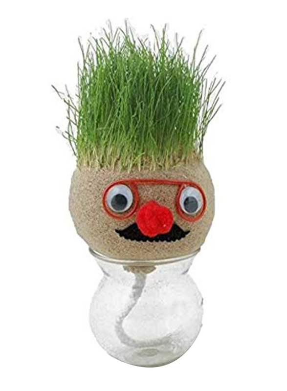 

Generic Educational Growing Grass Hair Pot, Ages 3+, Multicolour
