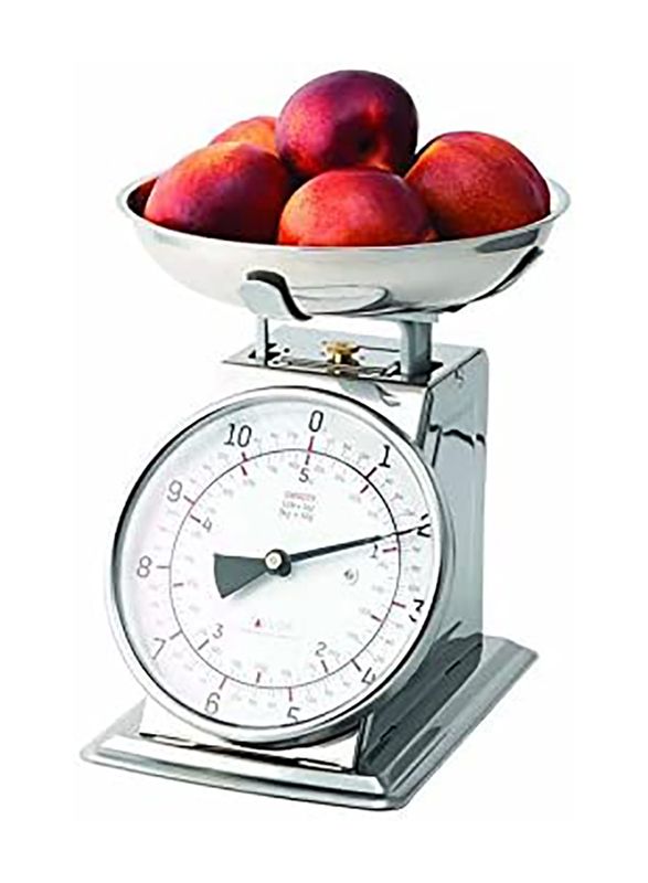 Taylor Precision Products Stainless Steel Analog Kitchen Scale, Silver