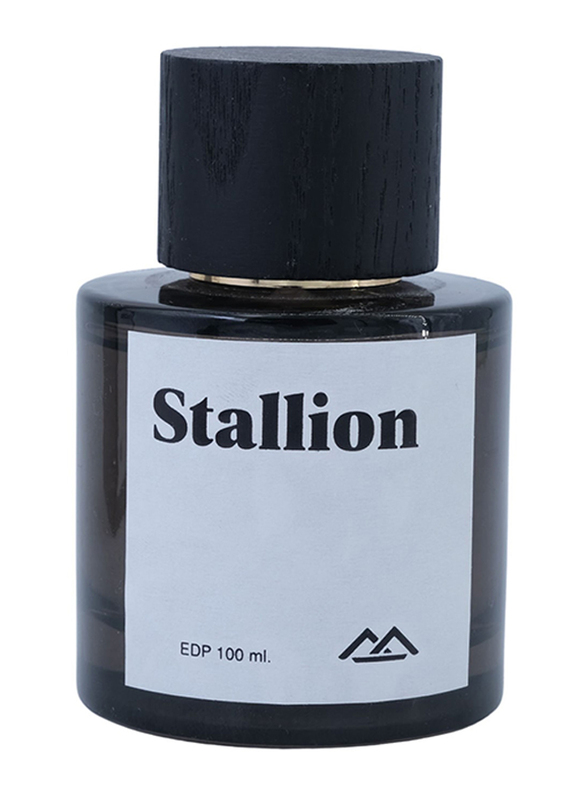 

Monte Bianco Stallion 100ml EDP Perfume Men