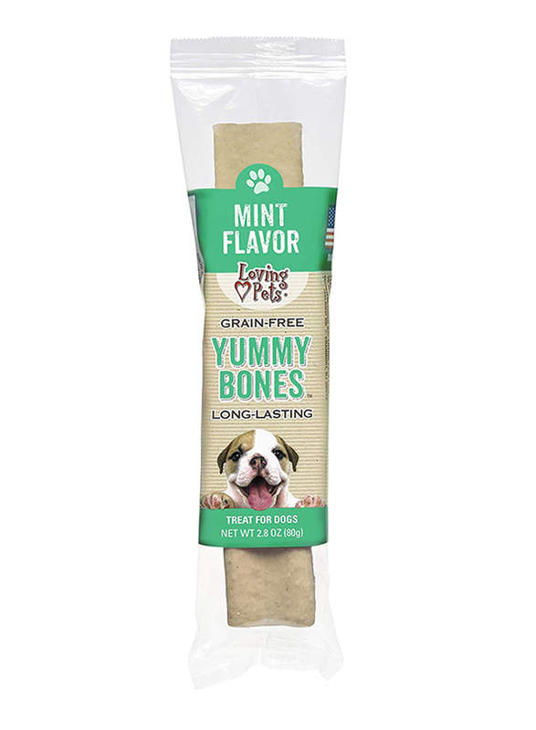 

Loving Pets Single Wrapped Yummy Bone Mint Flavor Dog Dry Food, 2.8oz