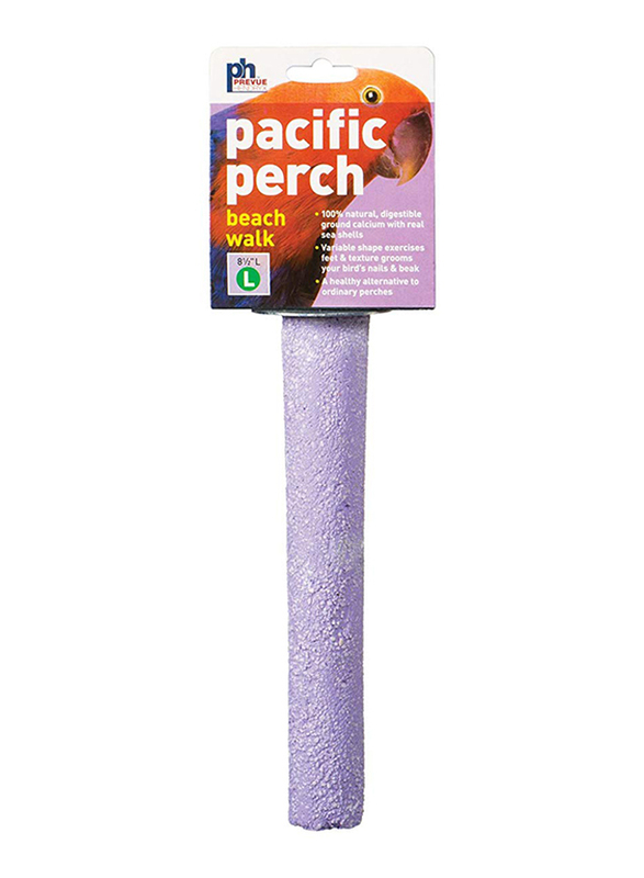 

Prevue Beach Walks Perch, Large, Purple