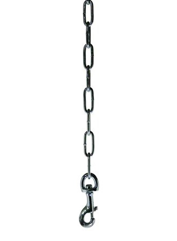 

Prevue Tie Out Chain with Bolt, 3.8mm x 15inch, Silver