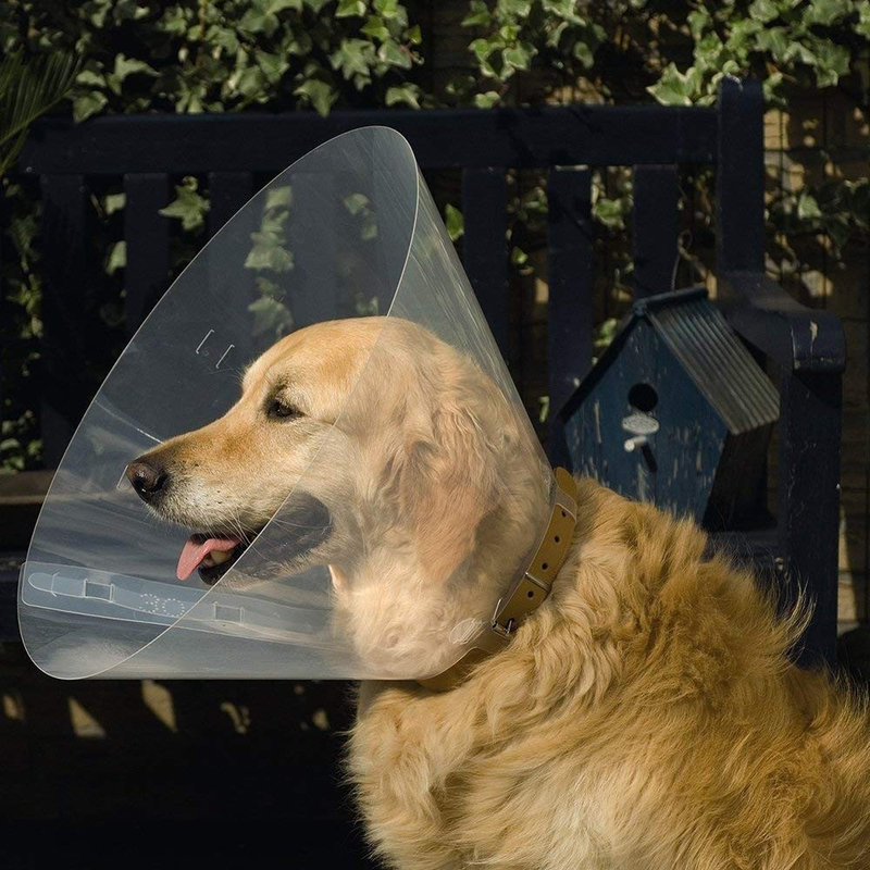 

Beeztees Plastic Dog Cap, Size 38-44, 20cm, Transparent