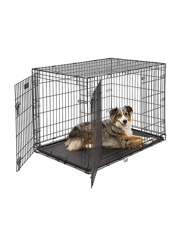

MidWest iCrate Double Door Dog Crate, 42 Inch