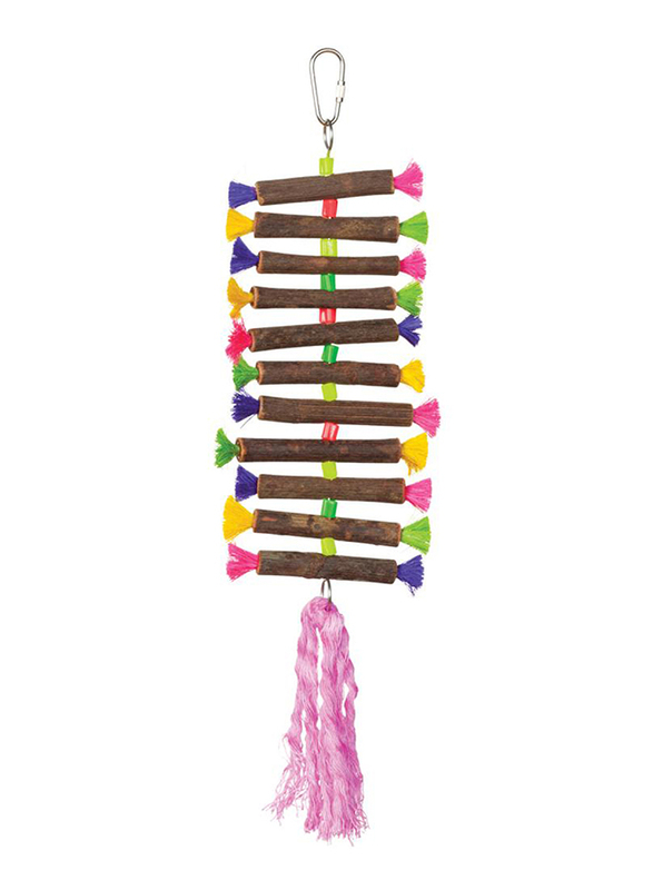 

Prevue Tropical Teasers Twisting Sticks, Multicolour