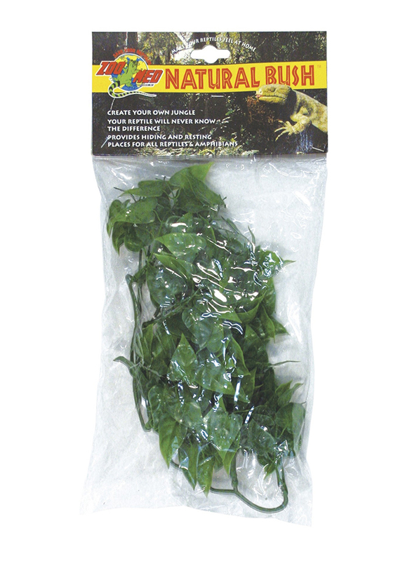 

Zoo Med Mexican Phyllo, Small, Green