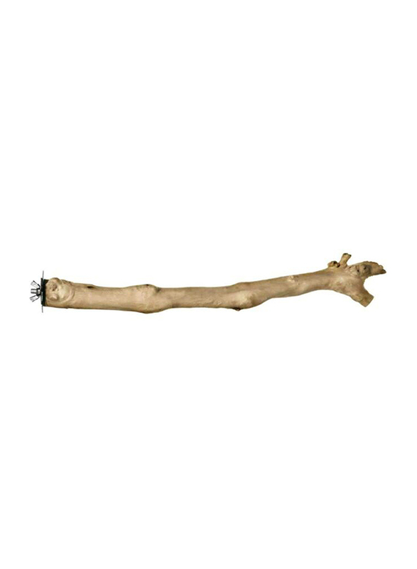 

Prevue Coffea Wood Perch Straight, 9inch, Brown