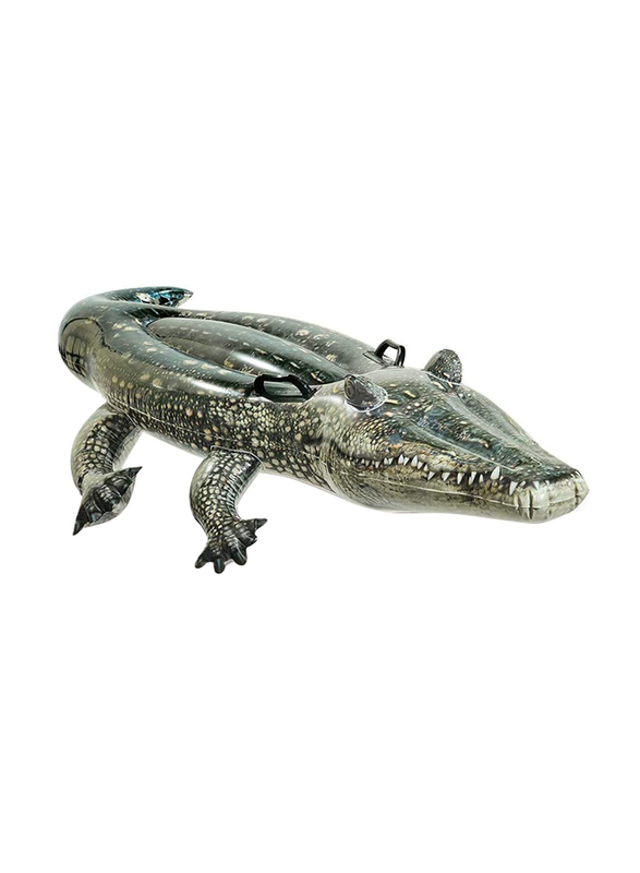 

Intex Realistic Gator Rideon, 67 x 34-Inches, 57551, Multicolour