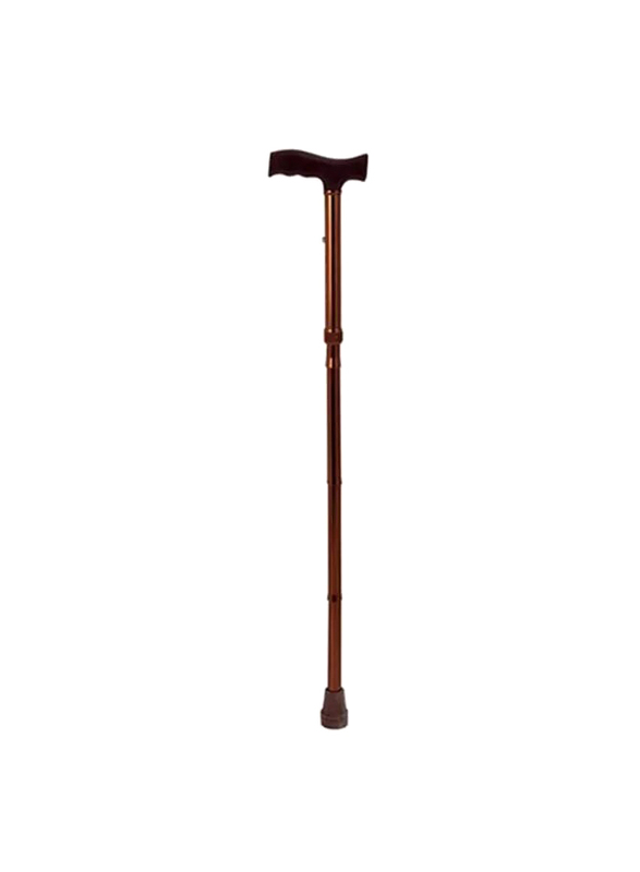 

Dayang Metallic Walking Stick, DY5927LB, Brown