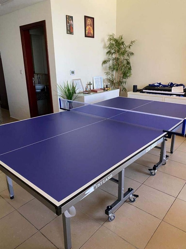 Sky Land Single Folding Ping Pong Movable TT Table, EM-8002, Blue