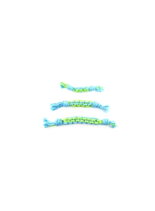 

Pawise Dental Twins Ropes, Small, Green/Blue