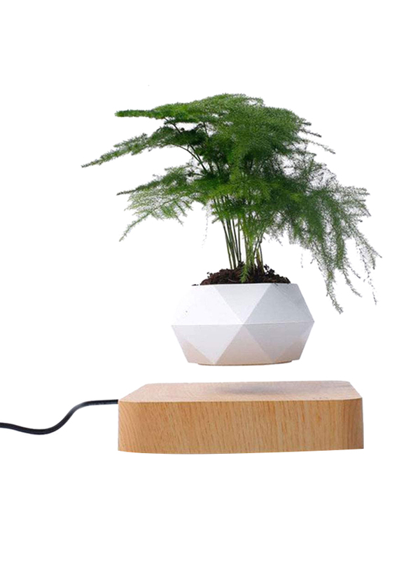 

Babook Levitating Air Bonsai Pot, White/Beige
