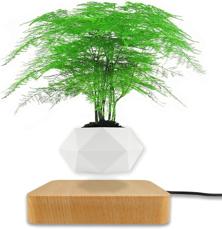 

Ruixinda Cool Gadgets Levitating Planter Pot, White