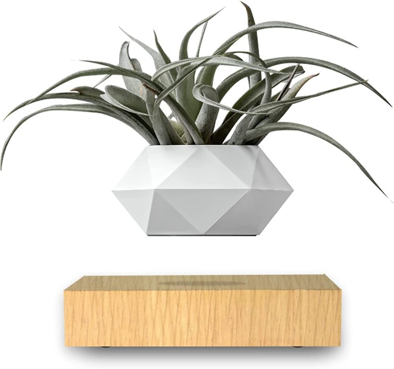 

Avviso Technologies Levitating Floating Bonsai for Air Planter Pot, White