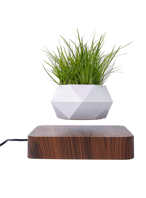 

Babook Levitating Air Bonsai Pot, White/Dark Brown