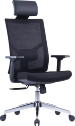 Space Office chair mesh high back