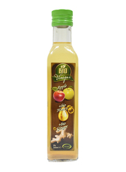 Veda Pleven Organic Apple Vinegar with Bio Honey and Bio Ginger, 250ml